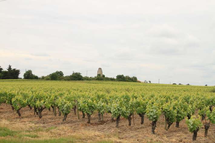 Domaine des Croix