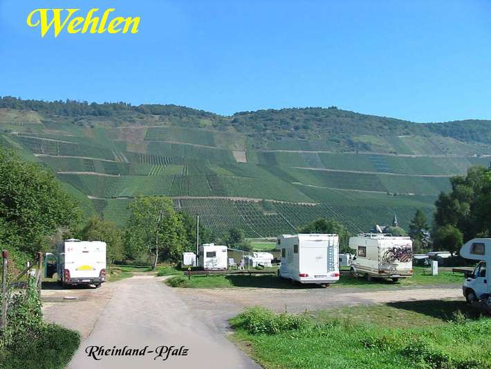 Stellplatz Weingut Studert Prüm