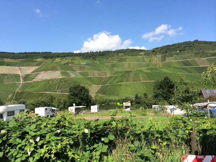 Stellplatz Weingut Studert Prüm