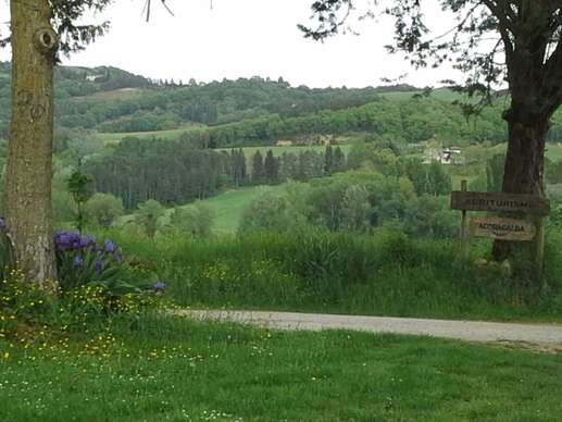 Added a photo to a location