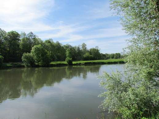 Een foto toegevoegd aan een locatie