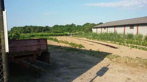 Een foto toegevoegd aan een locatie
