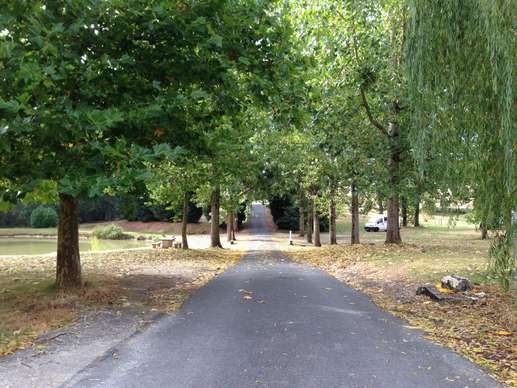 Added a photo to a location