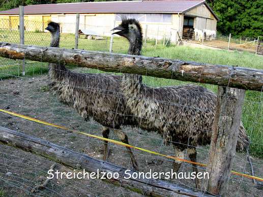 Einem Ort wurde ein Foto hinzugefügt