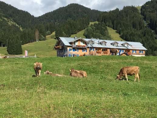 Added a photo to a location