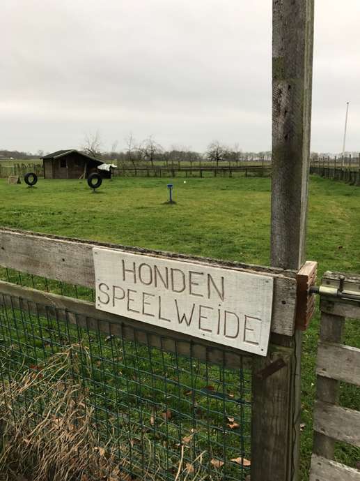 Een foto toegevoegd aan een locatie