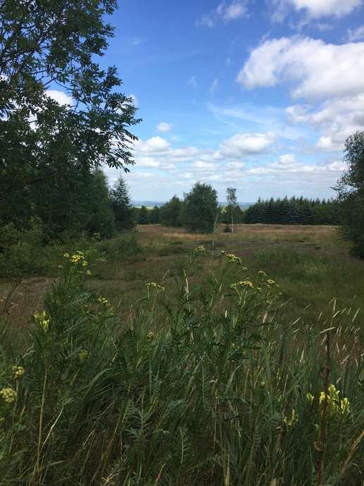 Added a photo to a location