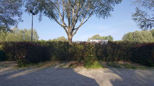 Einem Ort wurde ein Foto hinzugefügt