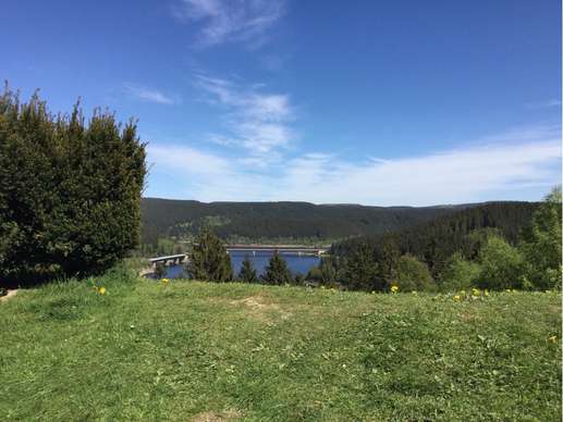 Added a photo to a location