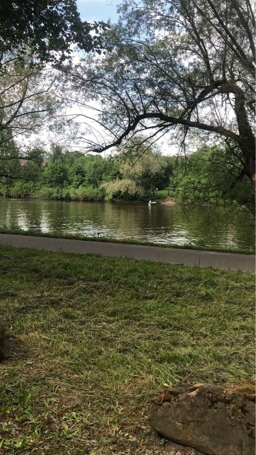 Een foto toegevoegd aan een locatie