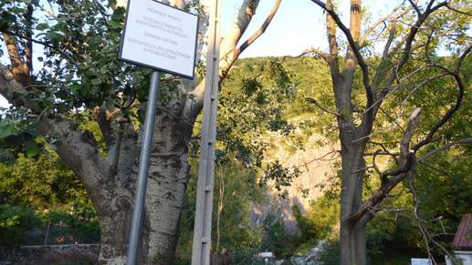 Added a photo to a location