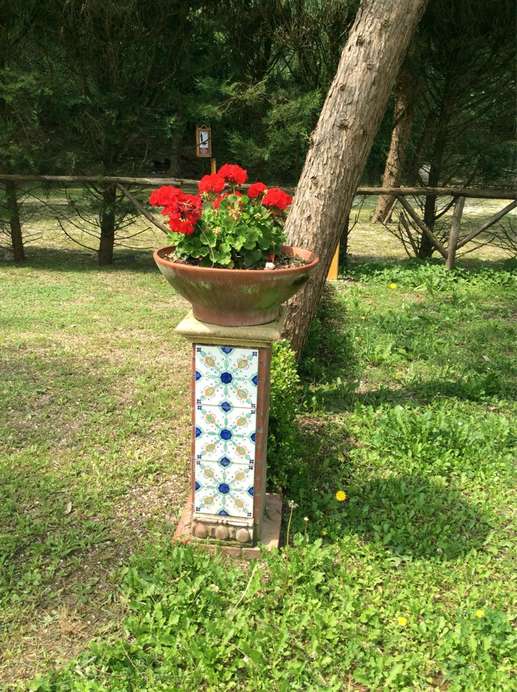 Added a photo to a location