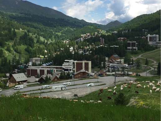 Added a photo to a location