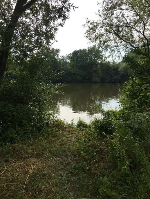 Added a photo to a location