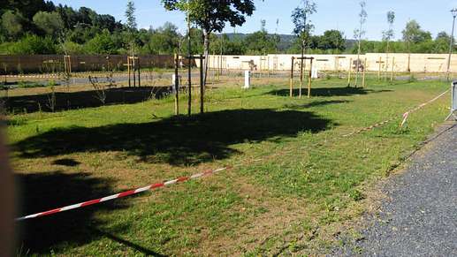 Added a photo to a location