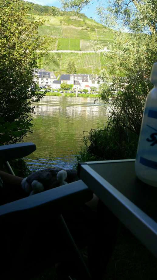 Added a photo to a location