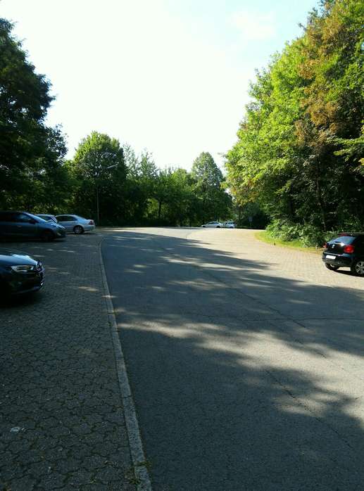 Added a photo to a location