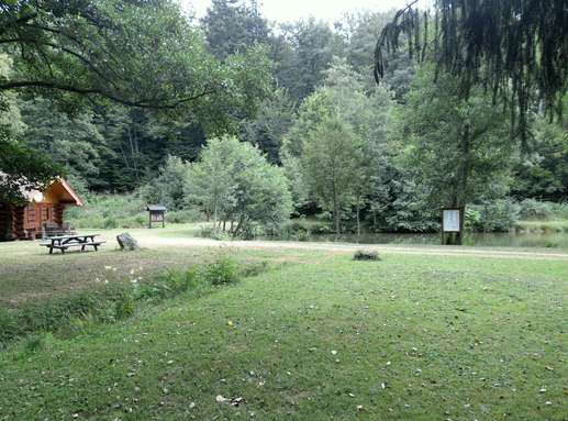 Added a photo to a location