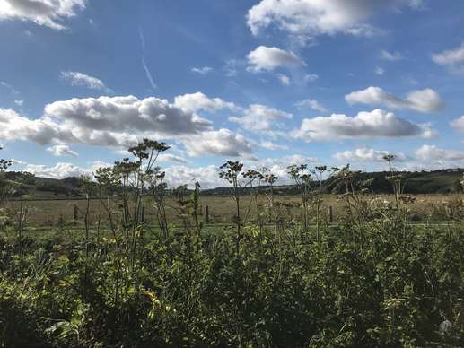 Een foto toegevoegd aan een locatie
