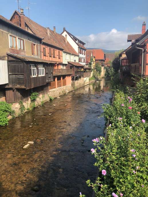 Added a photo to a location