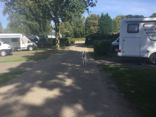 Een foto toegevoegd aan een locatie