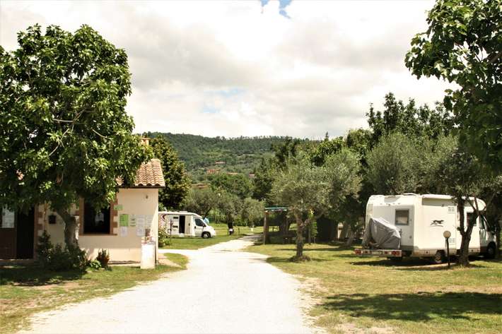 Area Guadetto