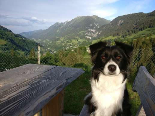 Einem Ort wurde ein Foto hinzugefügt