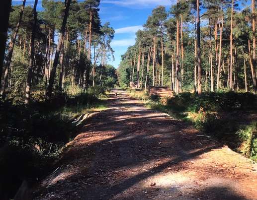 Een foto toegevoegd aan een locatie