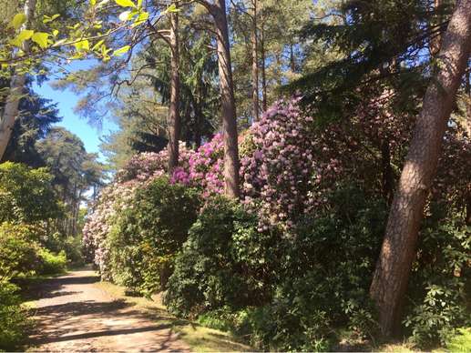 Added a photo to a location