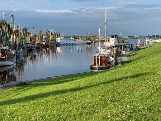 Een foto toegevoegd aan een locatie