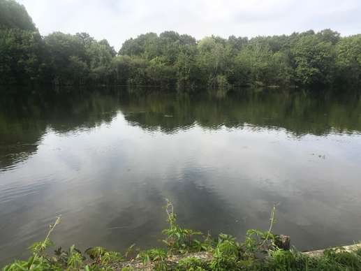 Added a photo to a location