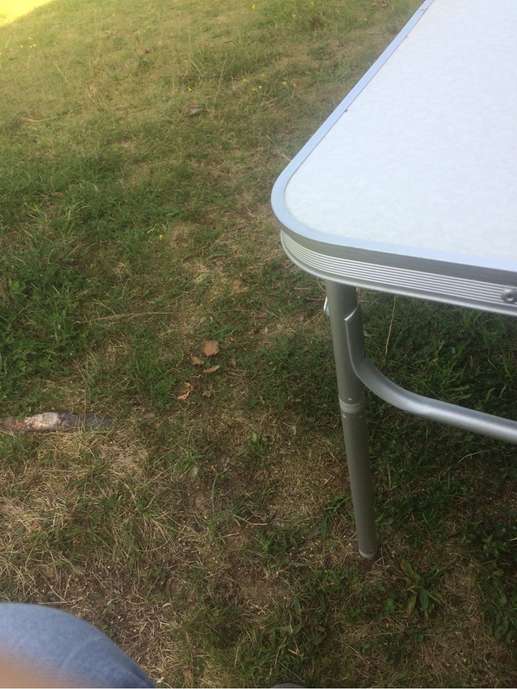 Aggiunta una foto a una posizione