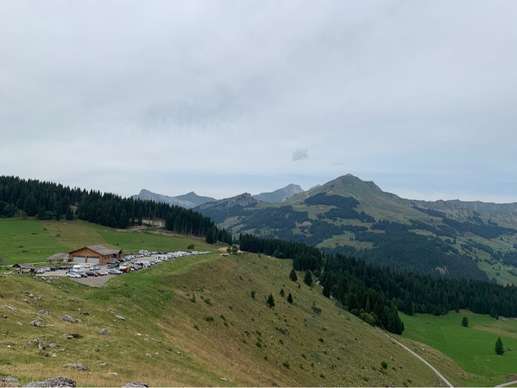 Added a photo to a location
