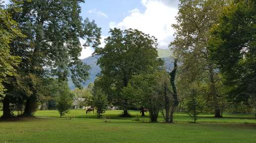 Added a photo to a location