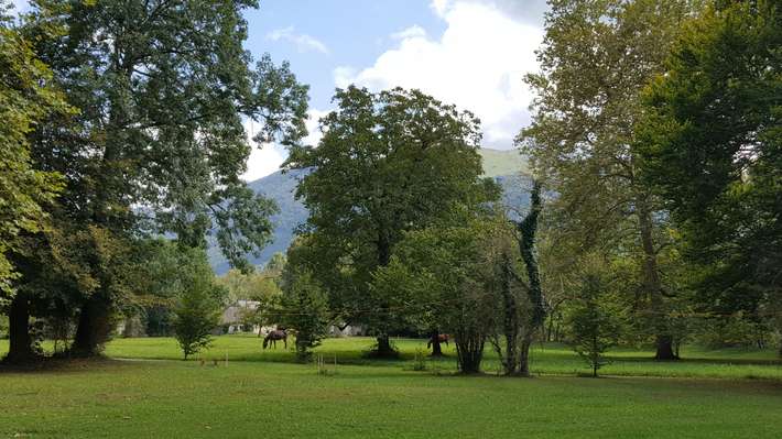 Aire Du Gave d'Ossau