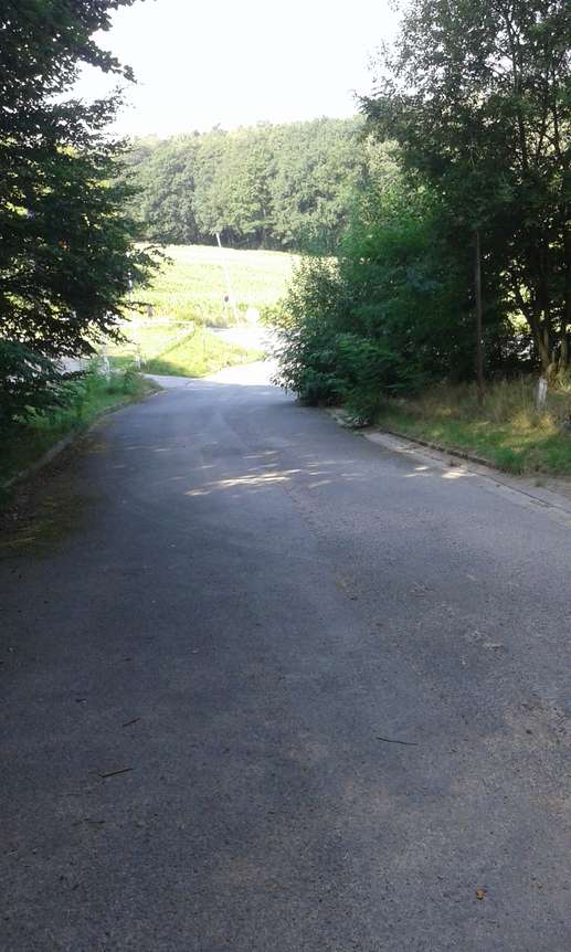 Added a photo to a location