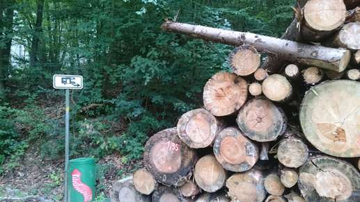 Een foto toegevoegd aan een locatie