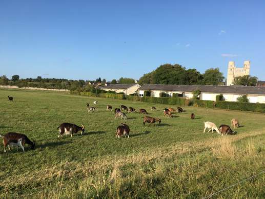 Ajout d'une photo à un emplacement