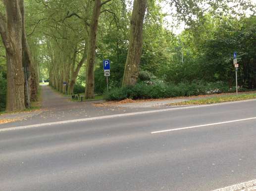 Added a photo to a location