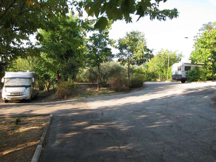 Area Comunale