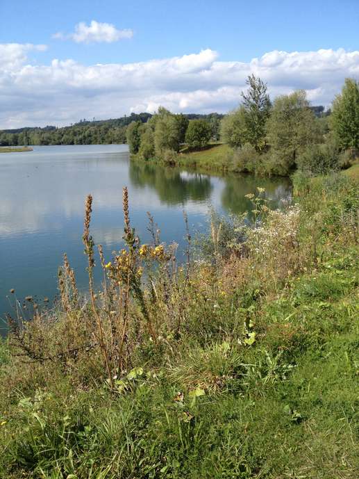 Added a photo to a location