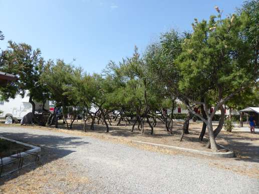 Added a photo to a location
