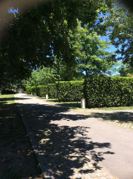 Een foto toegevoegd aan een locatie