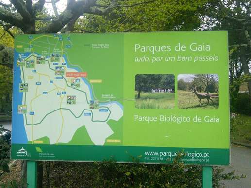 Added a photo to a location