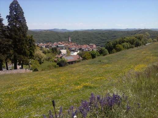 Added a photo to a location