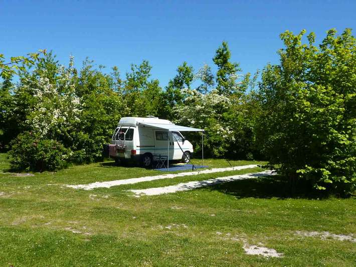 Camping Lauwerszee