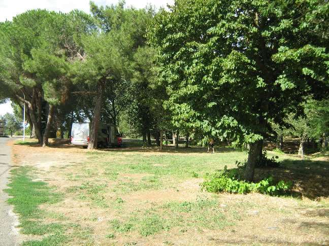 Area Comunale