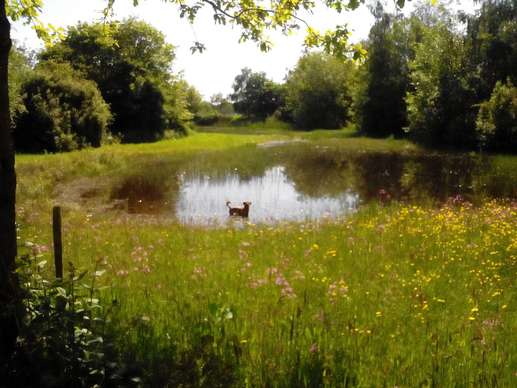 Added a photo to a location