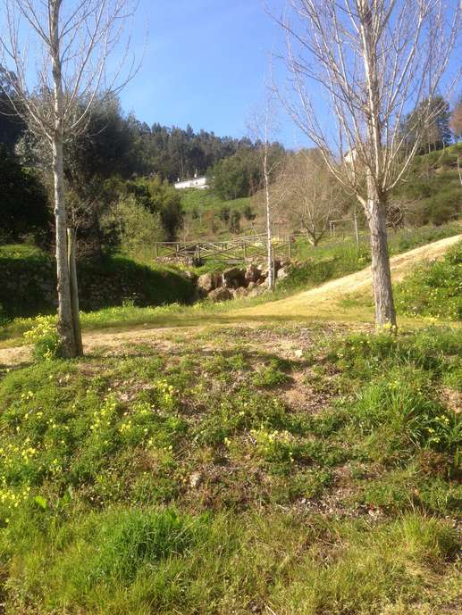 Added a photo to a location