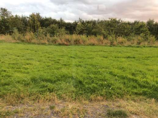 Een foto toegevoegd aan een locatie